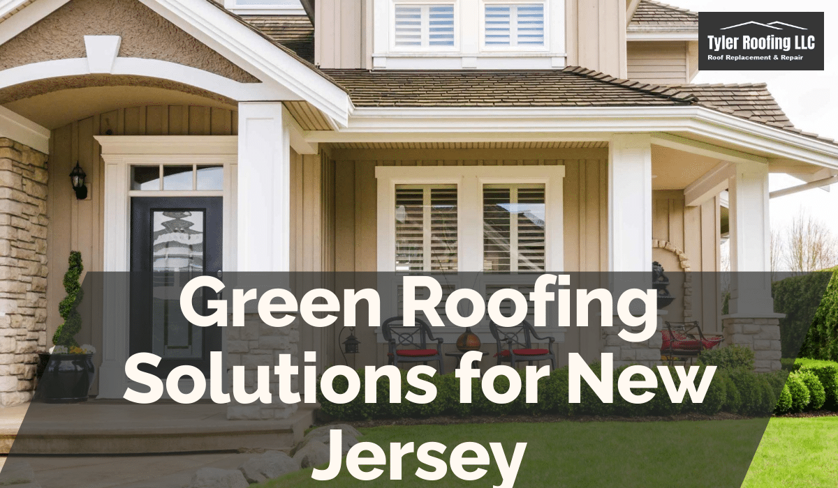 Green Roofing Solutions for New Jersey